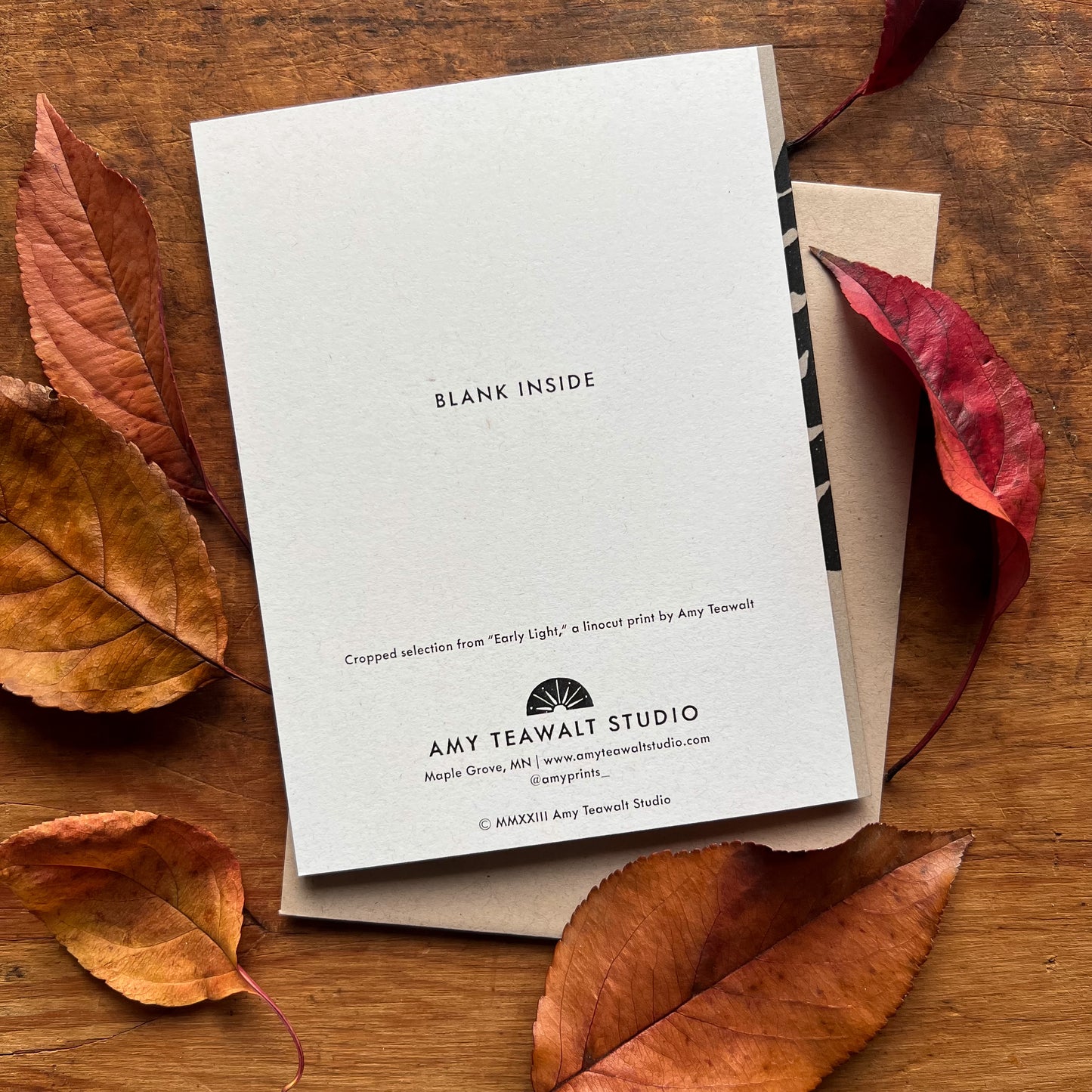Early Light Greeting Cards | Blank Inside, A2, Recycled
