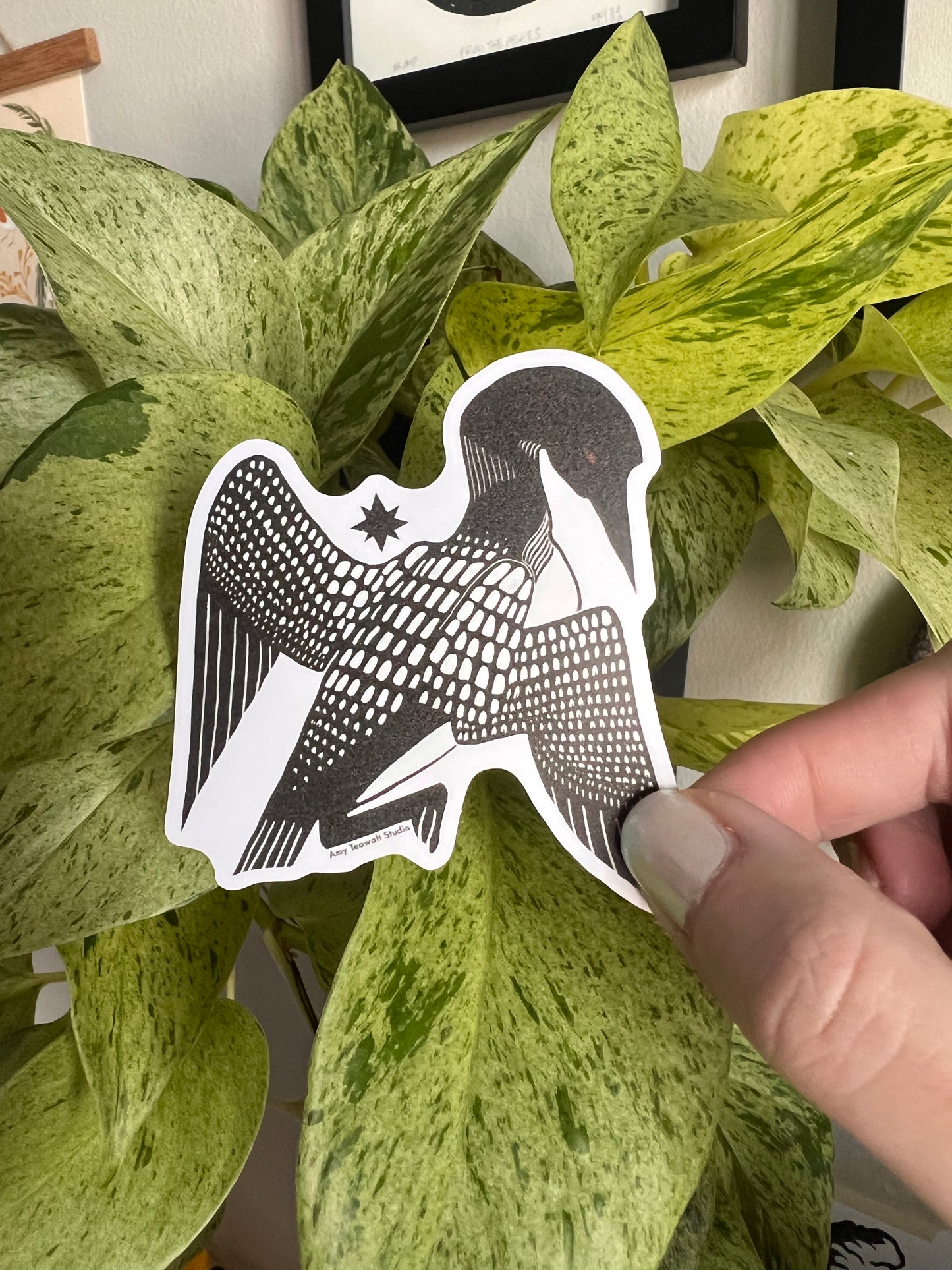 Loon and Star 3 Inch Sticker | Minnesota State Bird Eco-Friendly PET