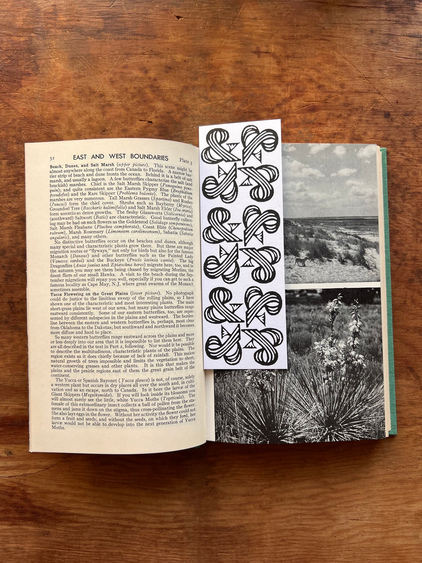 Ampersand Block Printed Linocut Bookmarks 2x6"