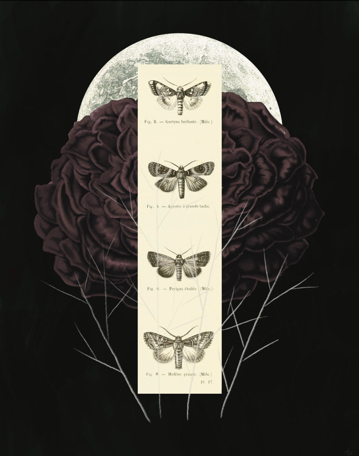 "The Full Moon Beckons" Fine Art Print | Collage Art, Moody Nature, No AI