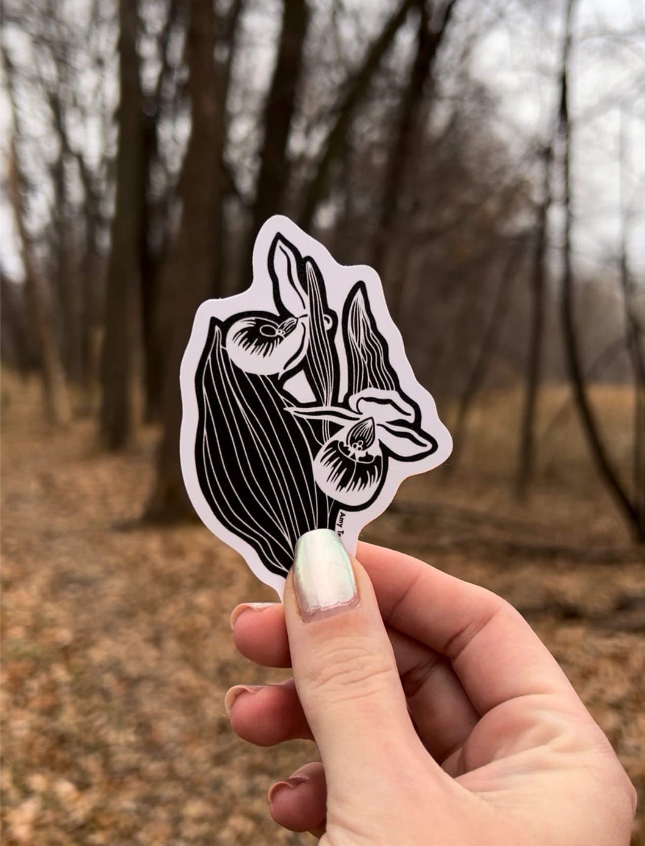 "Showy Lady’s Slipper” 3 Inch Sticker | Minnesota Illustration Eco-Friendly Sticker