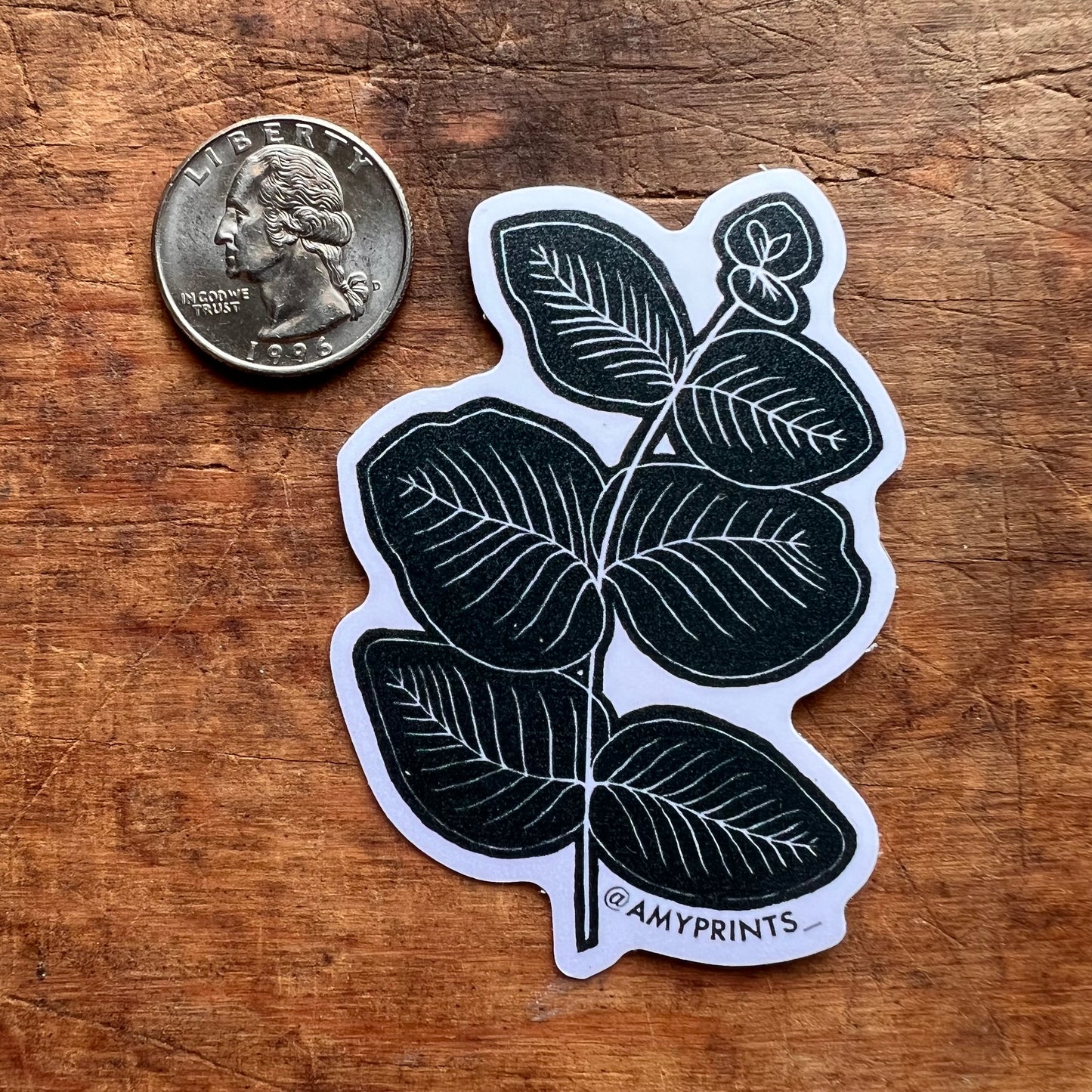 “Cinarea” Eucalyptus 3 Inch Sticker | Linocut Block Print Eco-Friendly Sticker