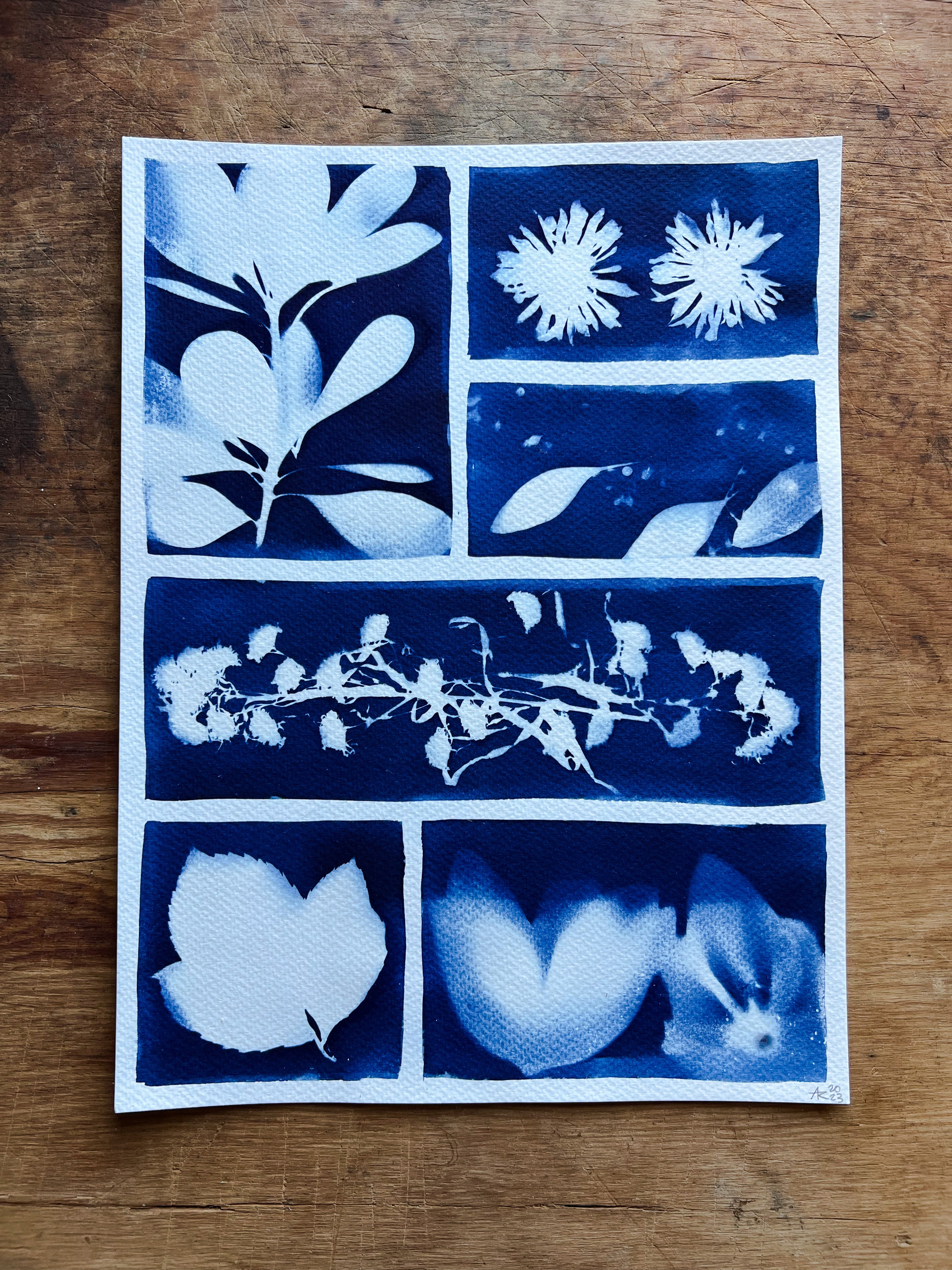 DIY Deluxe large letter/A4 size Cyanotype kit, rainbow print, blue b –  elemental_leaf