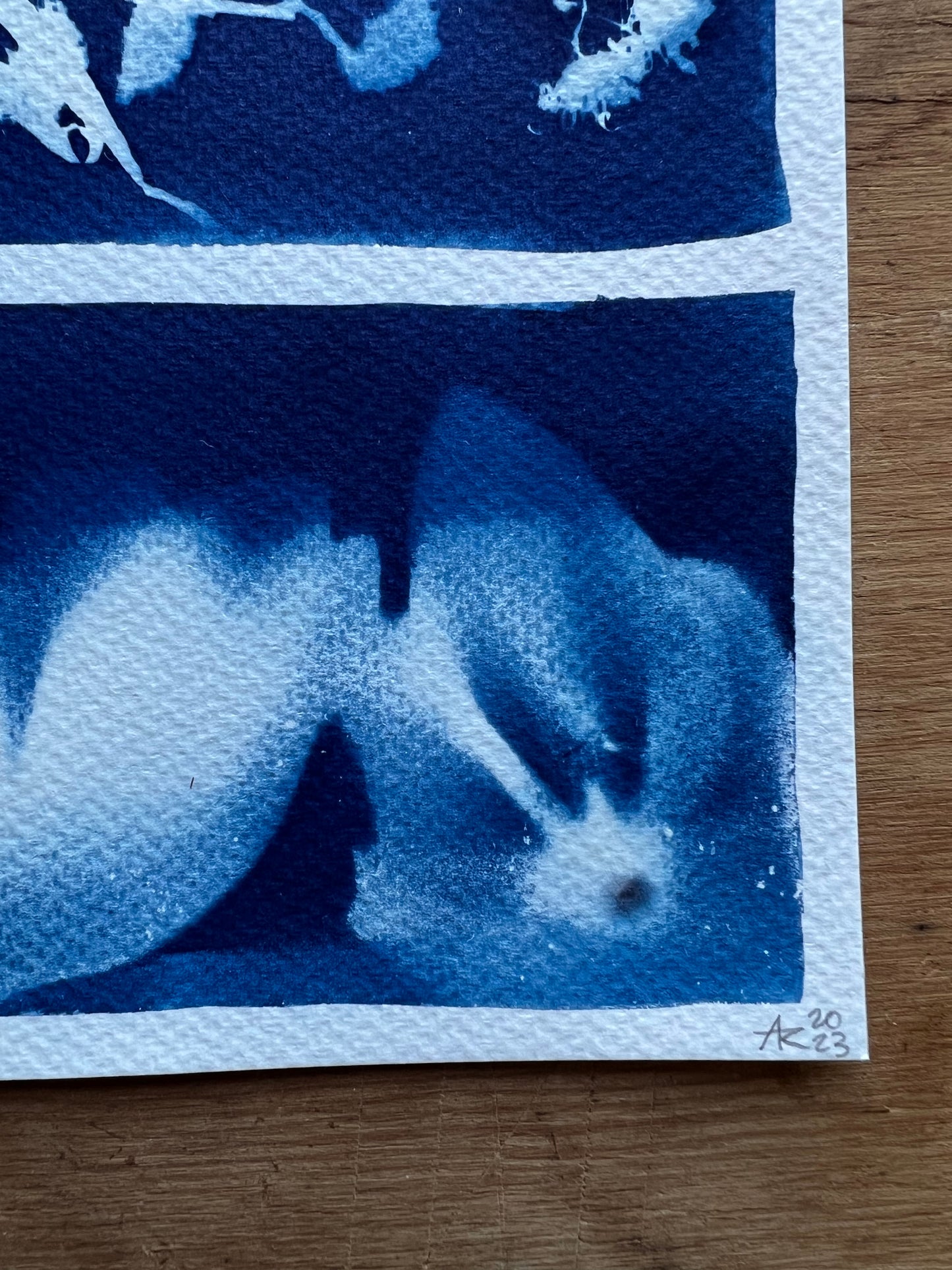 Cyanotype III.XXIII #4 9x12” | Handmade Cyanotype Print