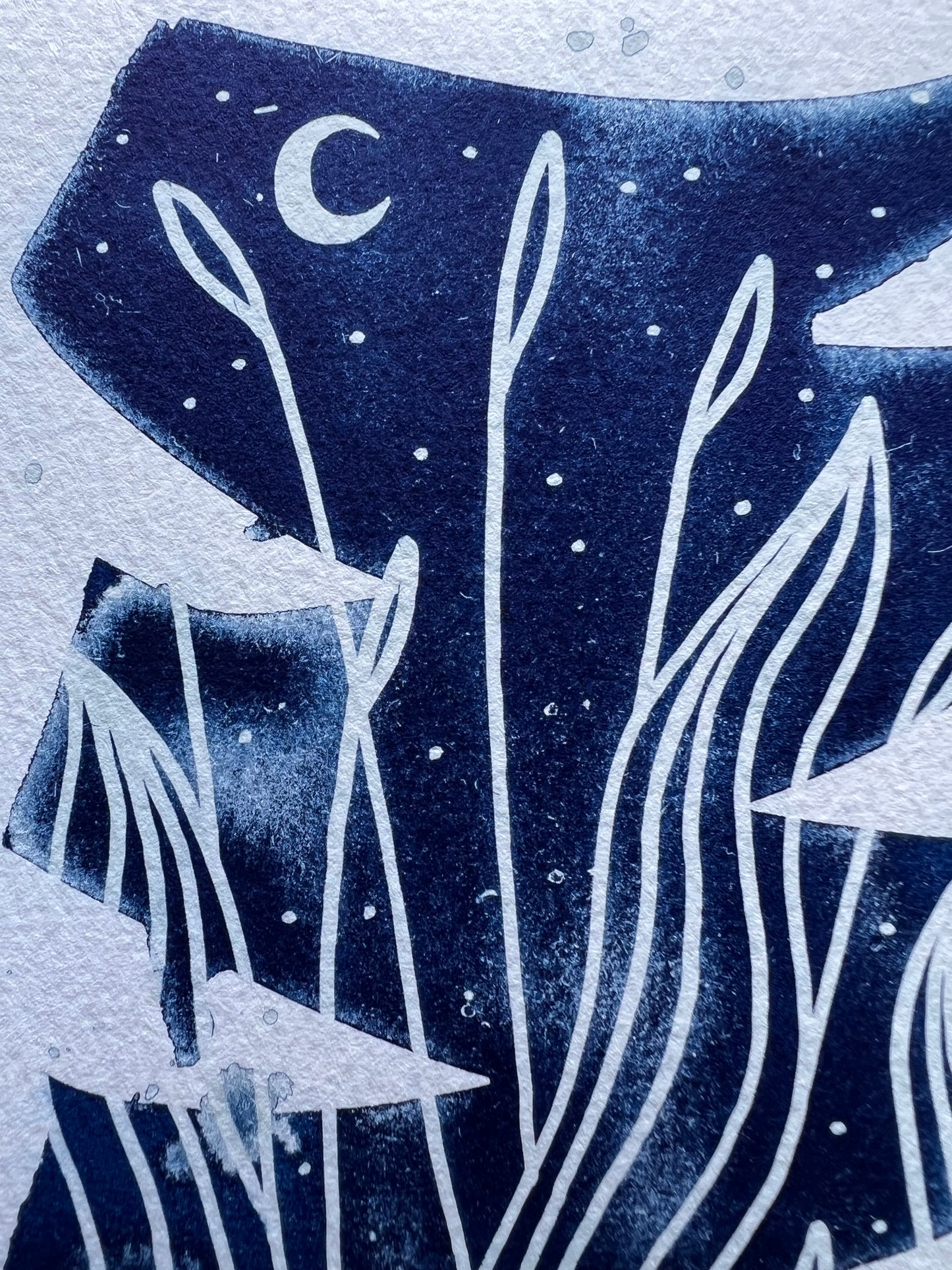 Cyanotype III.XXIII #1 4x6” | Handmade Cyanotype Print