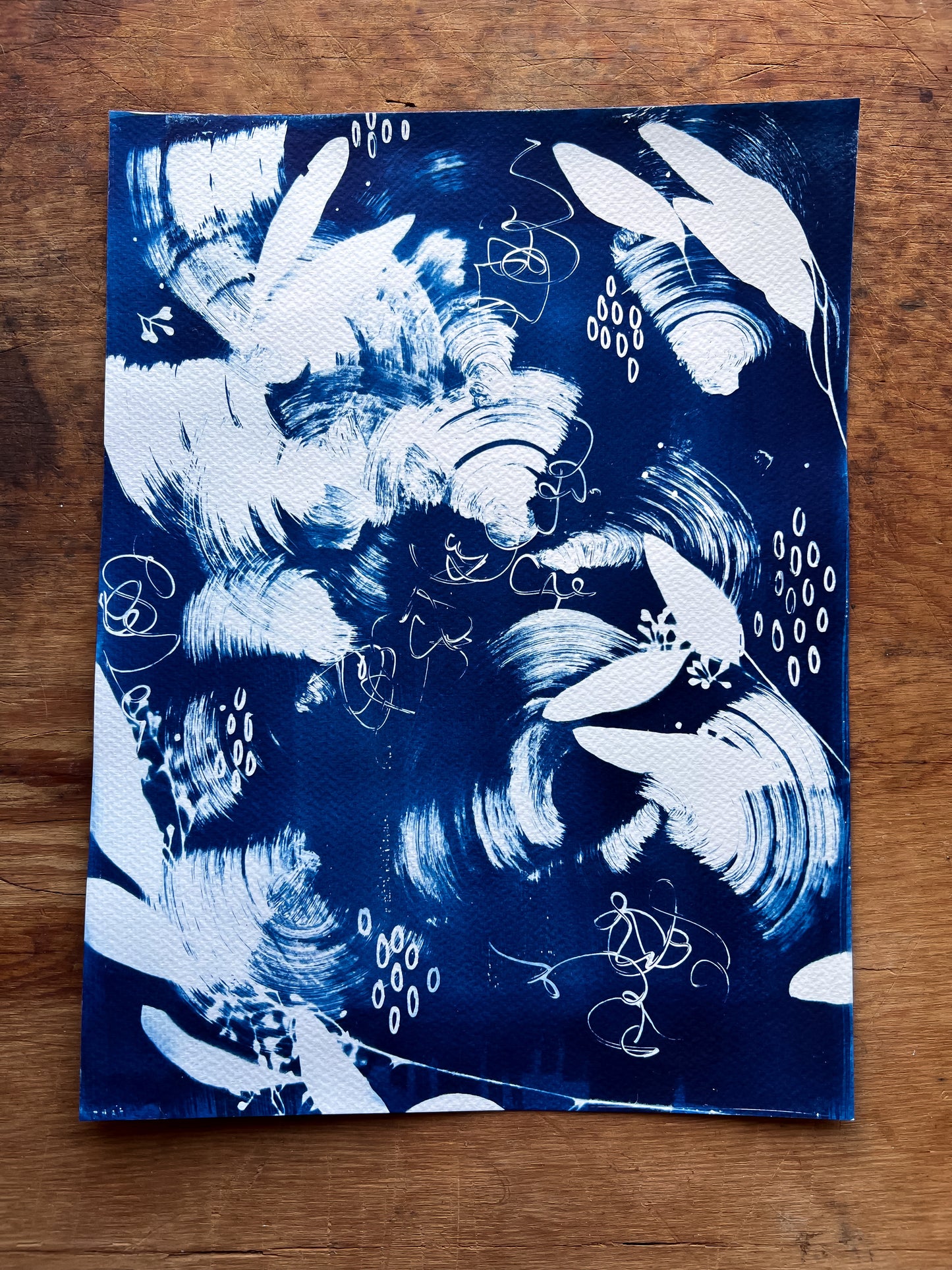 Cyanotype III.XXIII #2 9x12” | Handmade Cyanotype Print