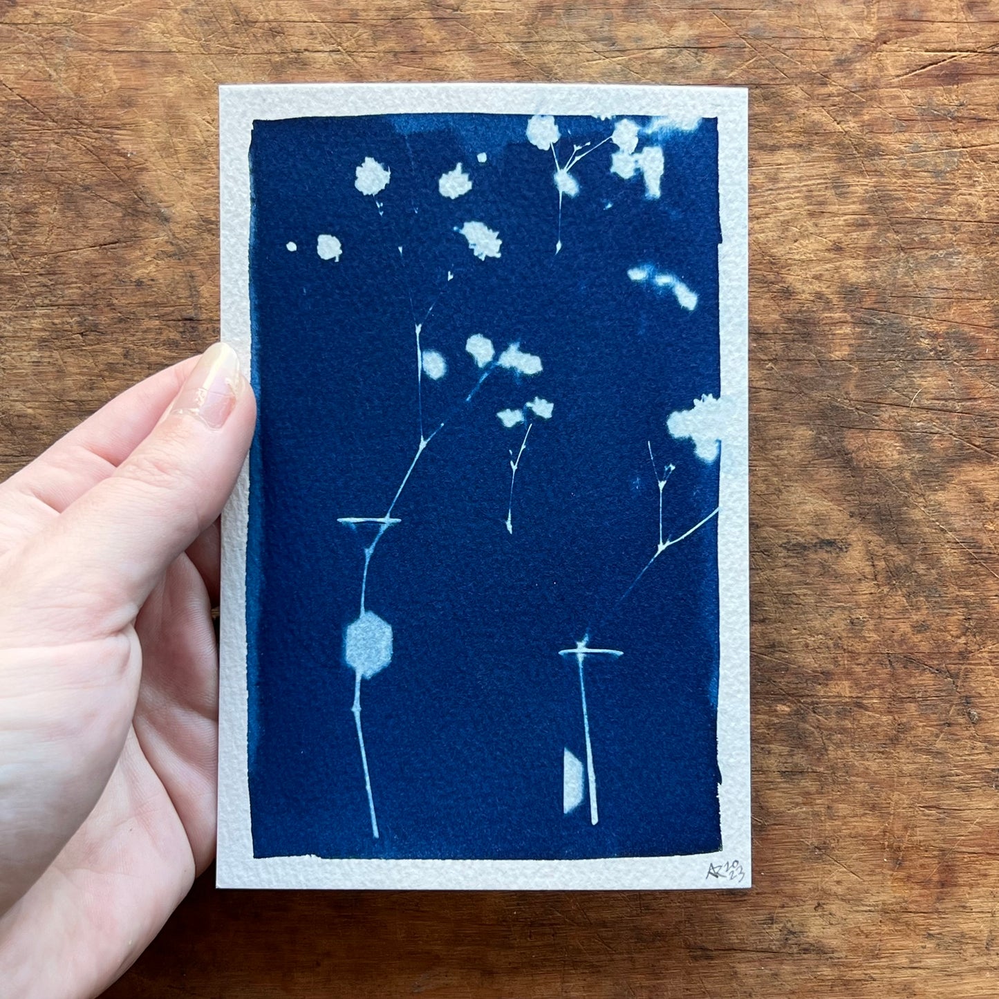 Cyanotype III.XXIII #2 4x6” | Handmade Cyanotype Print