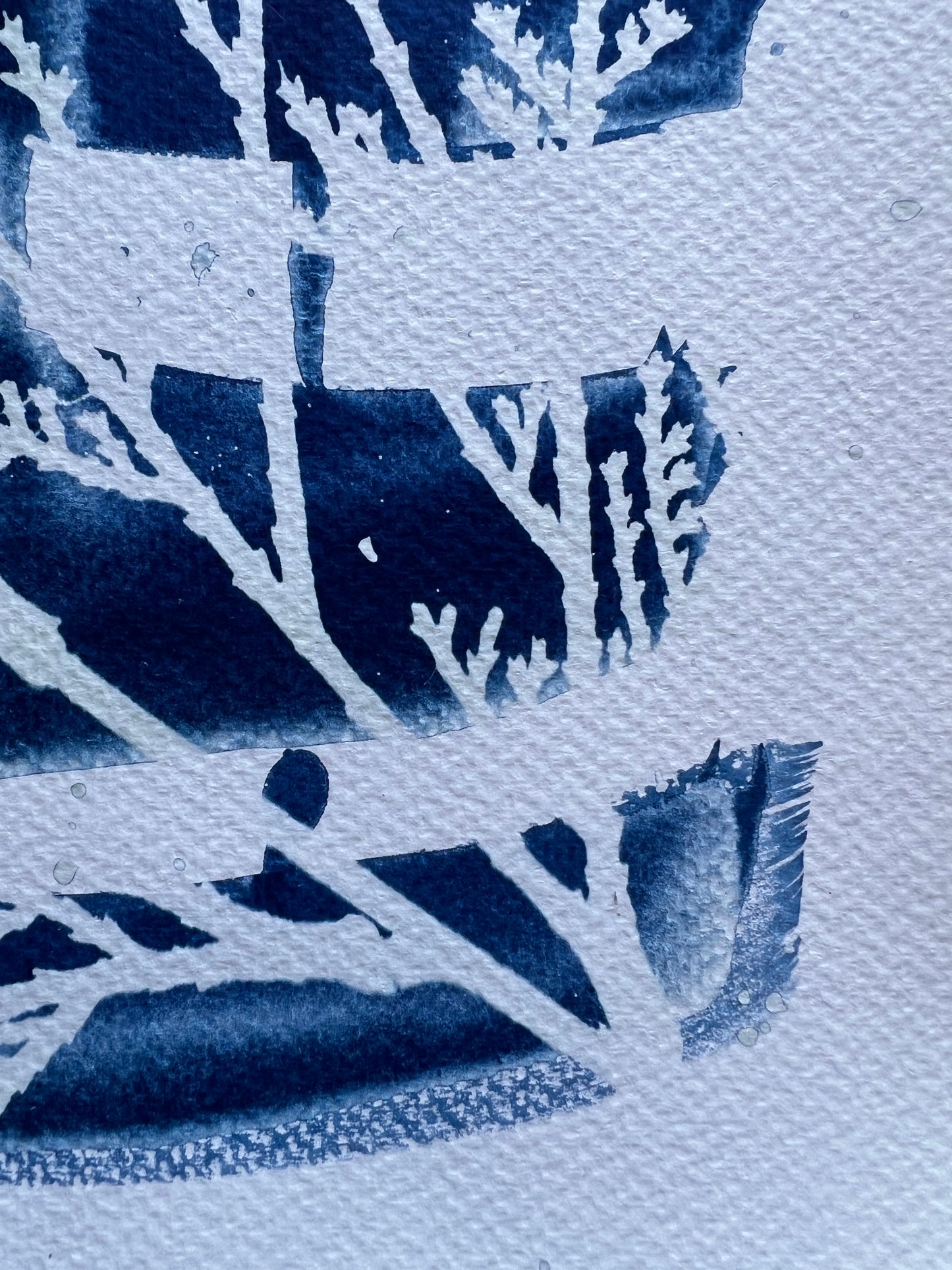 Cyanotype III.XXIII #3 9x12” | Handmade Cyanotype Print