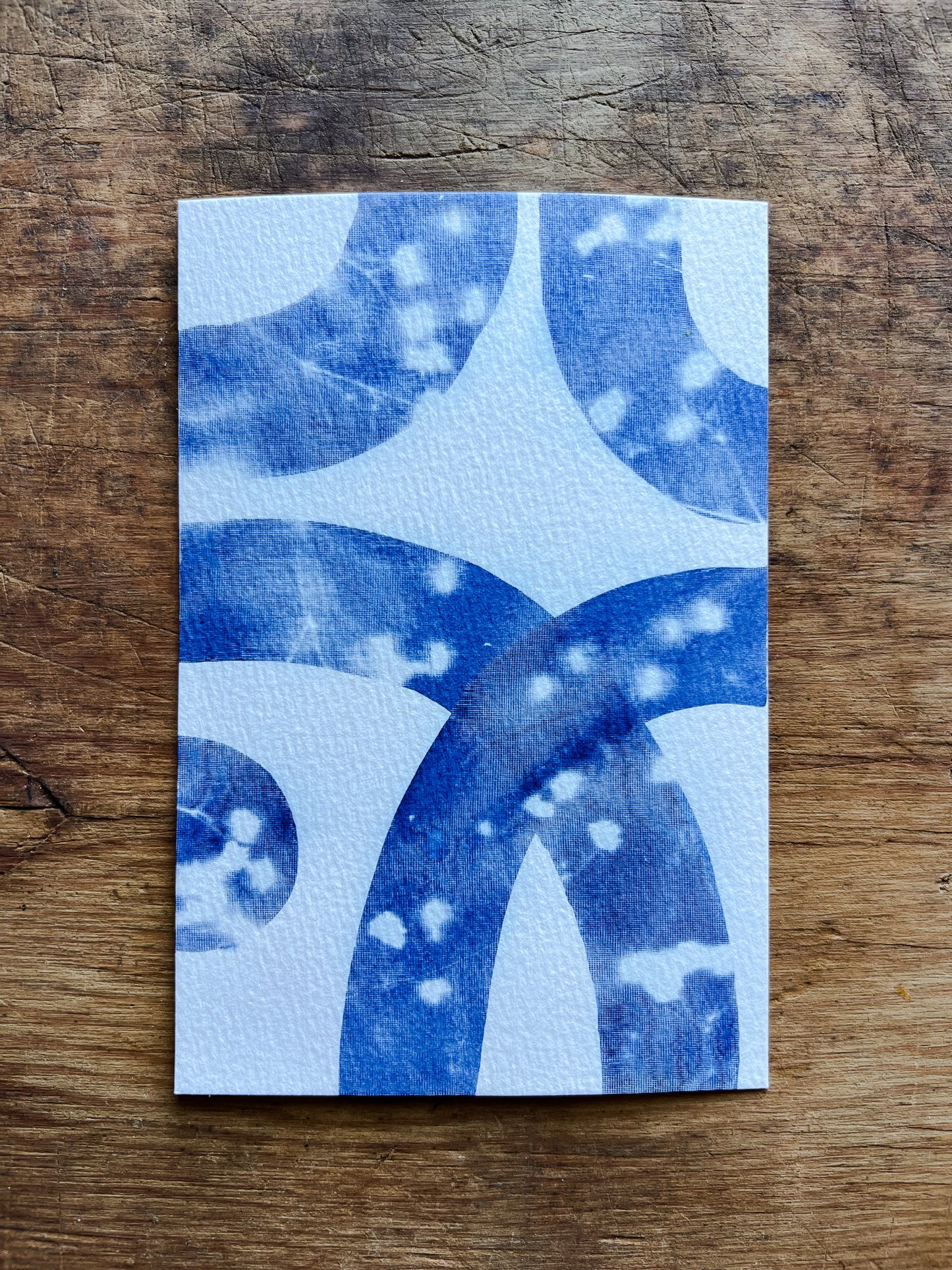 Cyanotype III.XXIII #4 4x6” | Handmade Cyanotype Print