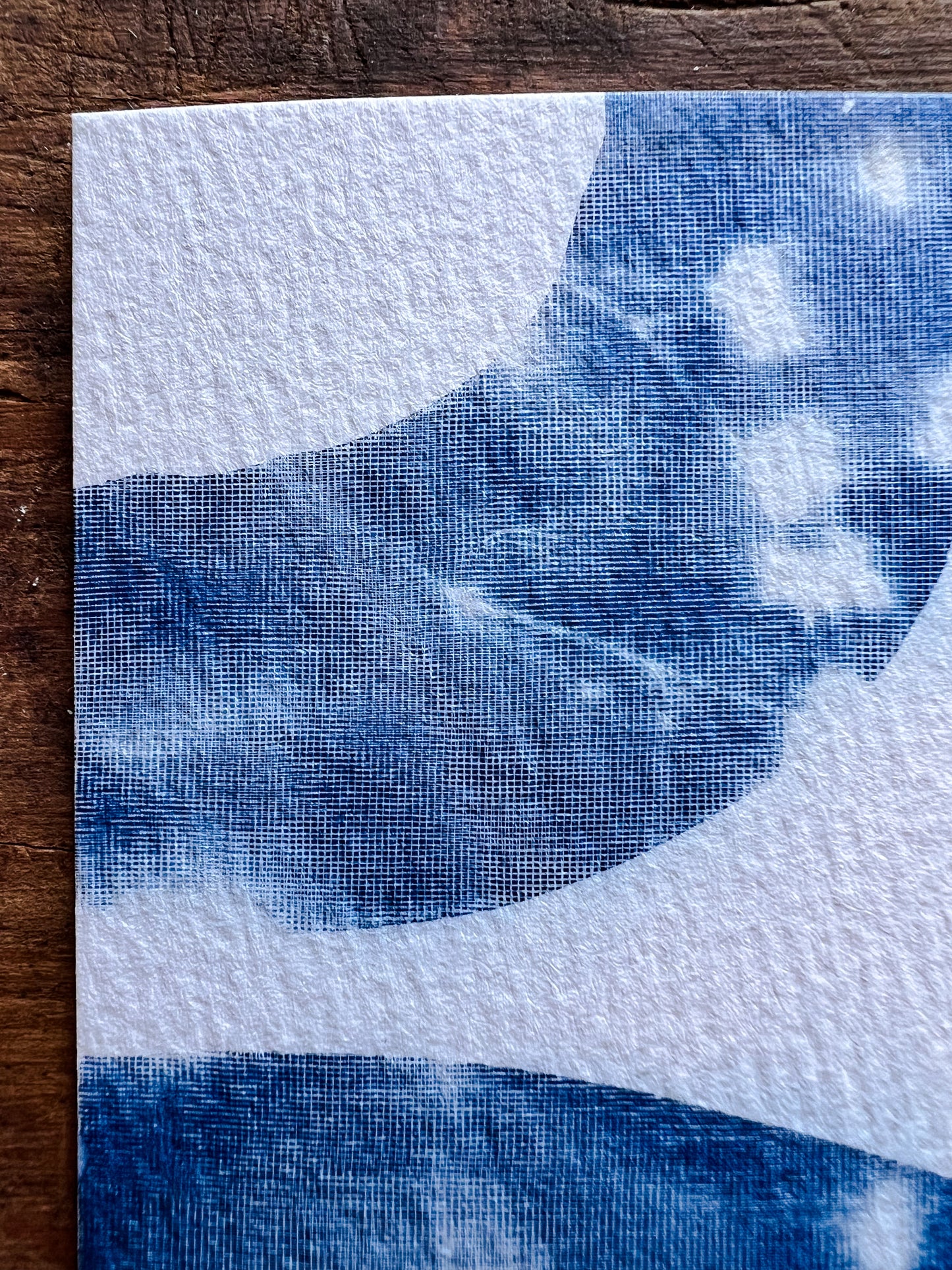 Cyanotype III.XXIII #4 4x6” | Handmade Cyanotype Print