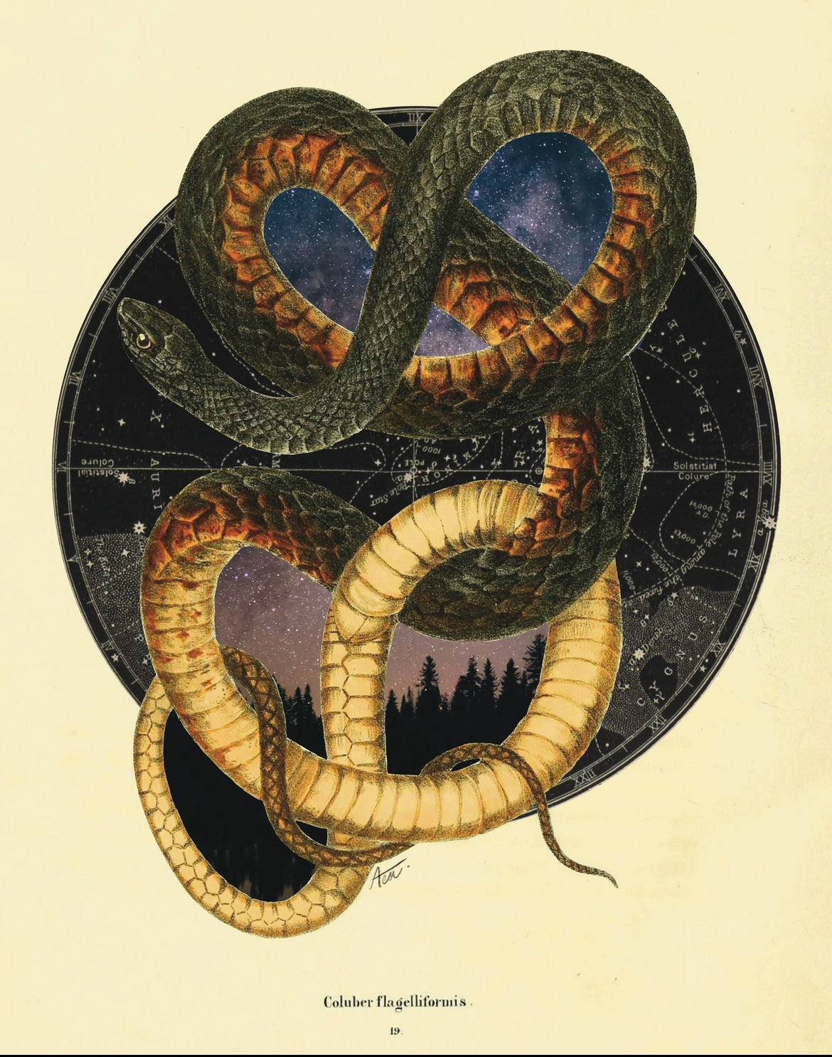 "Endless Time" Fine Art Print | Collage Art, Moody Celestial Dark Academia, No AI