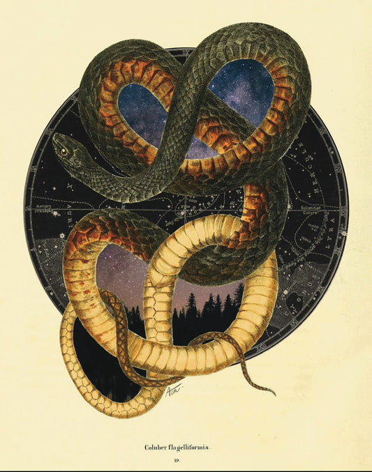 "Endless Time" Fine Art Print | Collage Art, Moody Celestial Dark Academia, No AI