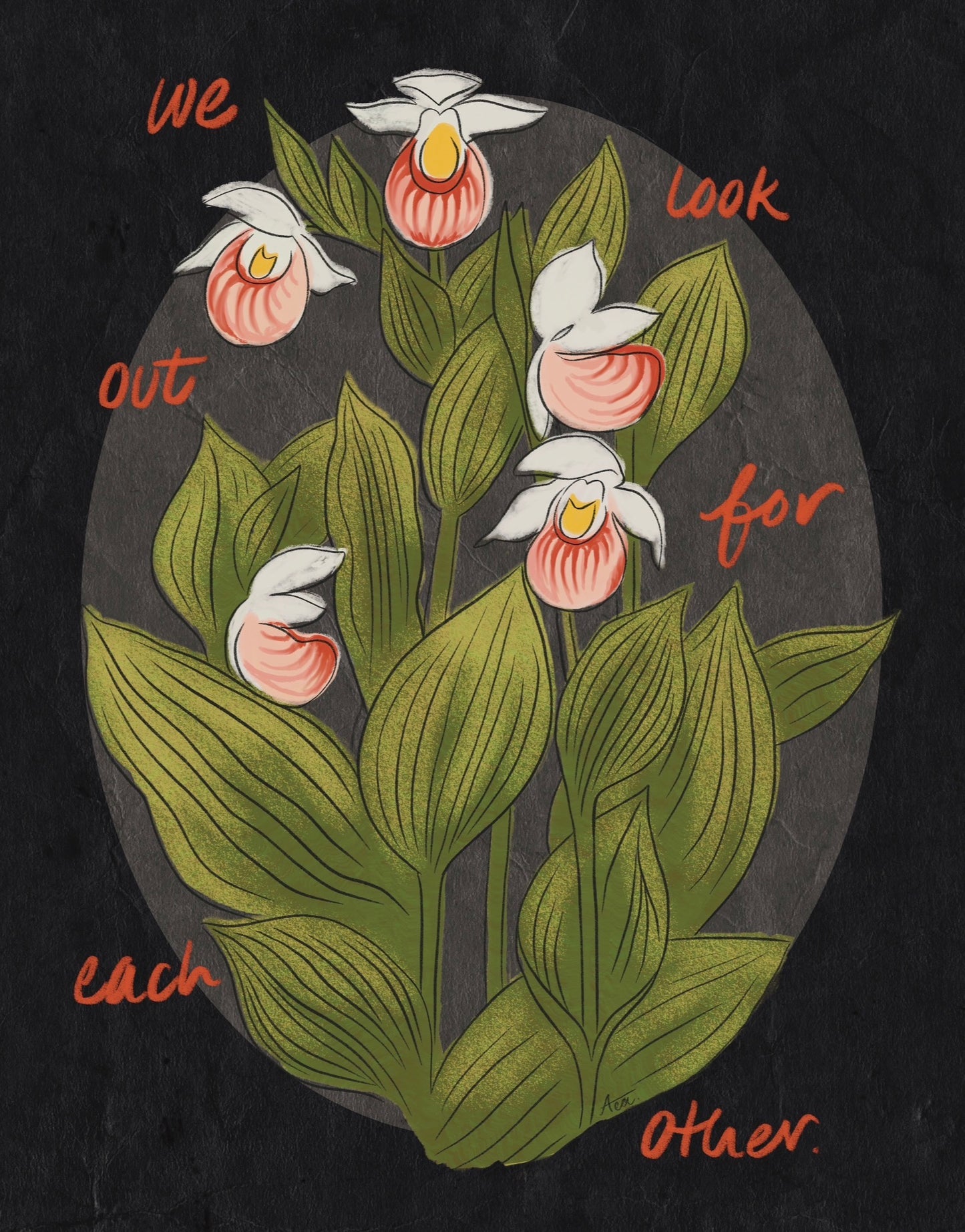 We Look Out For Each Other Showy Lady’s Slipper Fine Art Print | Minnesota Flower Art, No AI