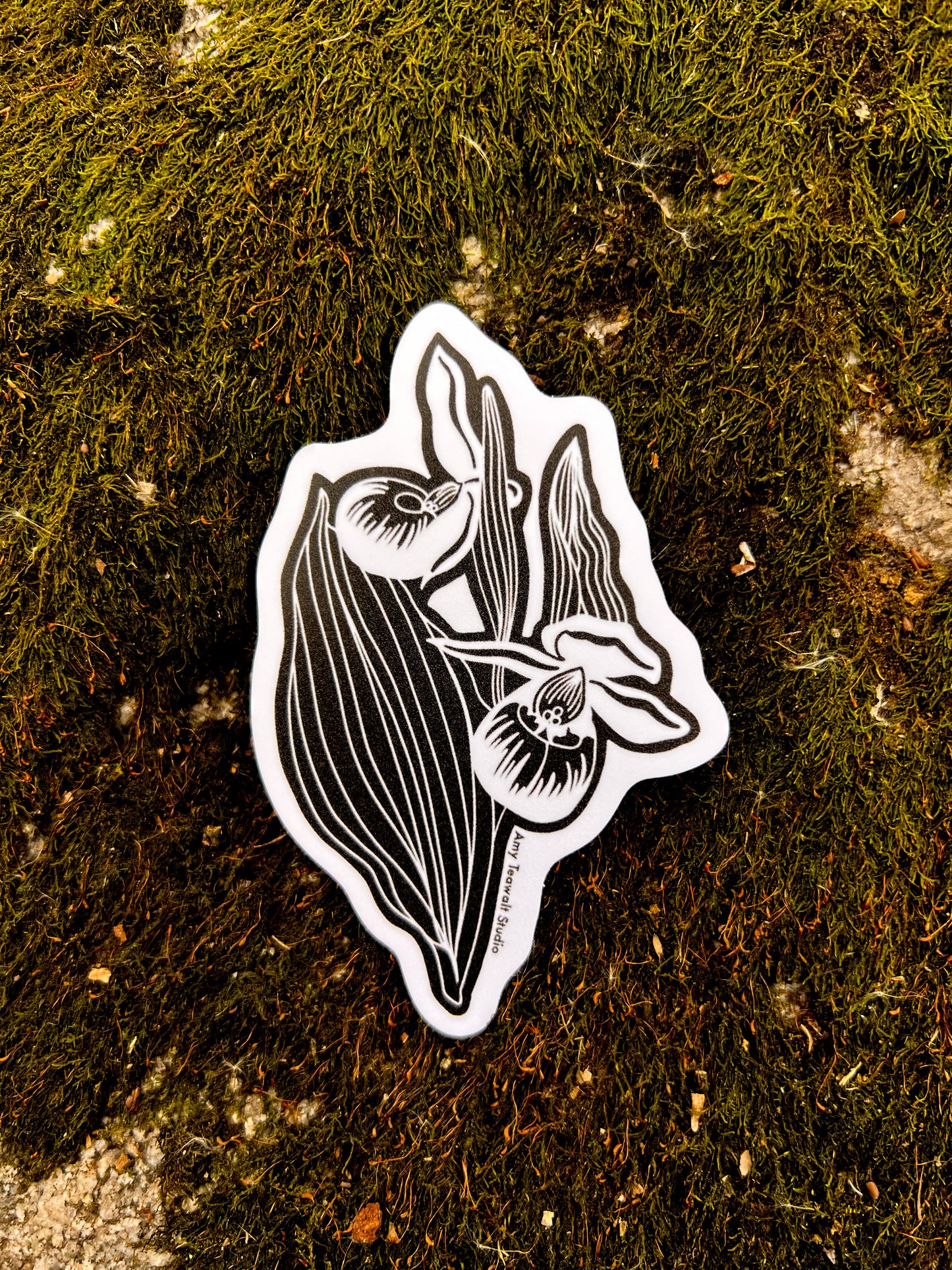 "Showy Lady’s Slipper” 3 Inch Sticker | Minnesota Illustration Eco-Friendly Sticker