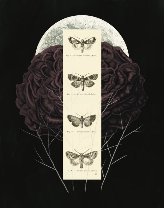 "The Full Moon Beckons" Fine Art Print | Collage Art, Moody Nature, No AI