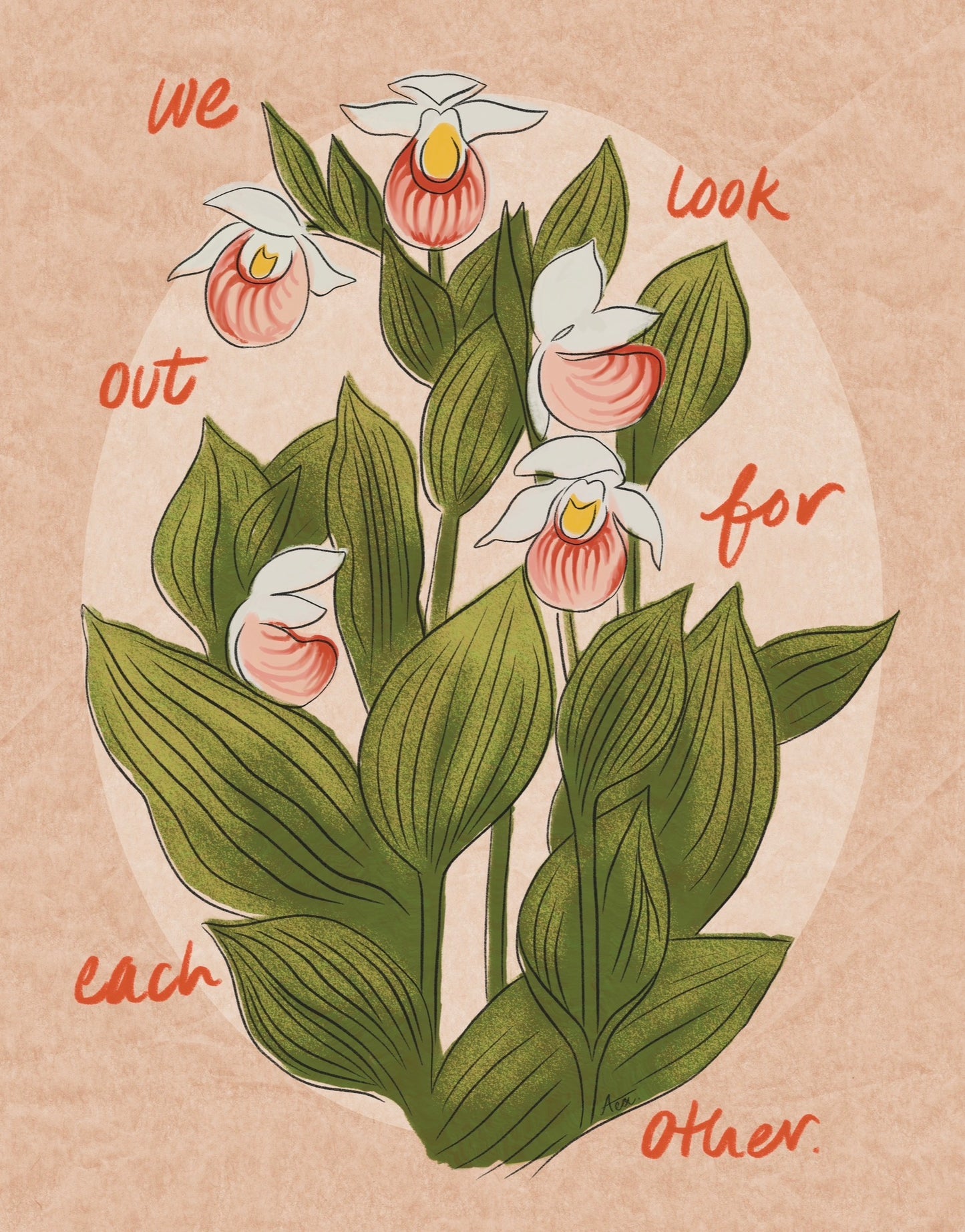 We Look Out For Each Other Showy Lady’s Slipper Fine Art Print | Minnesota Flower Art, No AI
