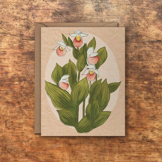 Showy Lady's Slipper Blush Greeting Cards | Blank Inside, A2, Recycled