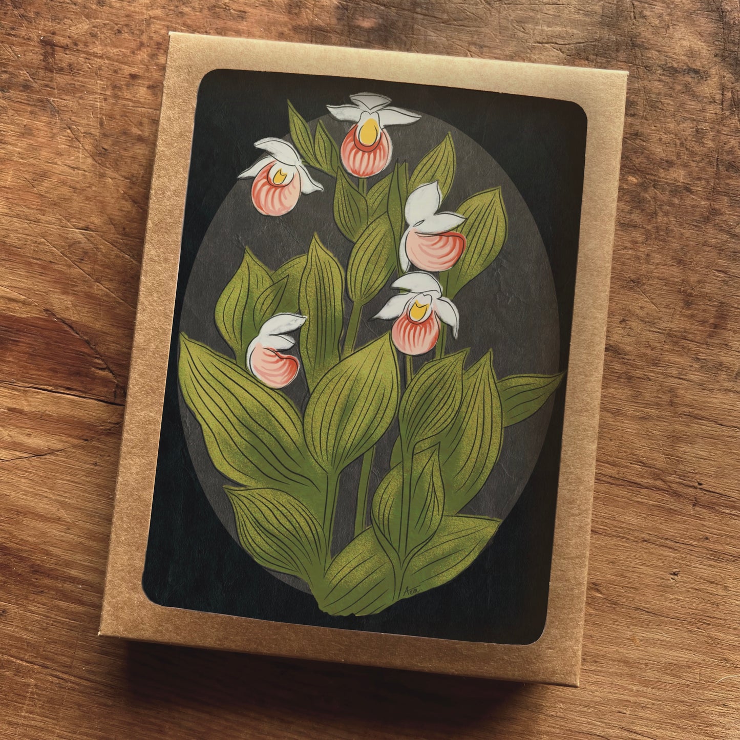 Black Showy Lady's Slipper Greeting Cards | Blank Inside, A2, Recycled