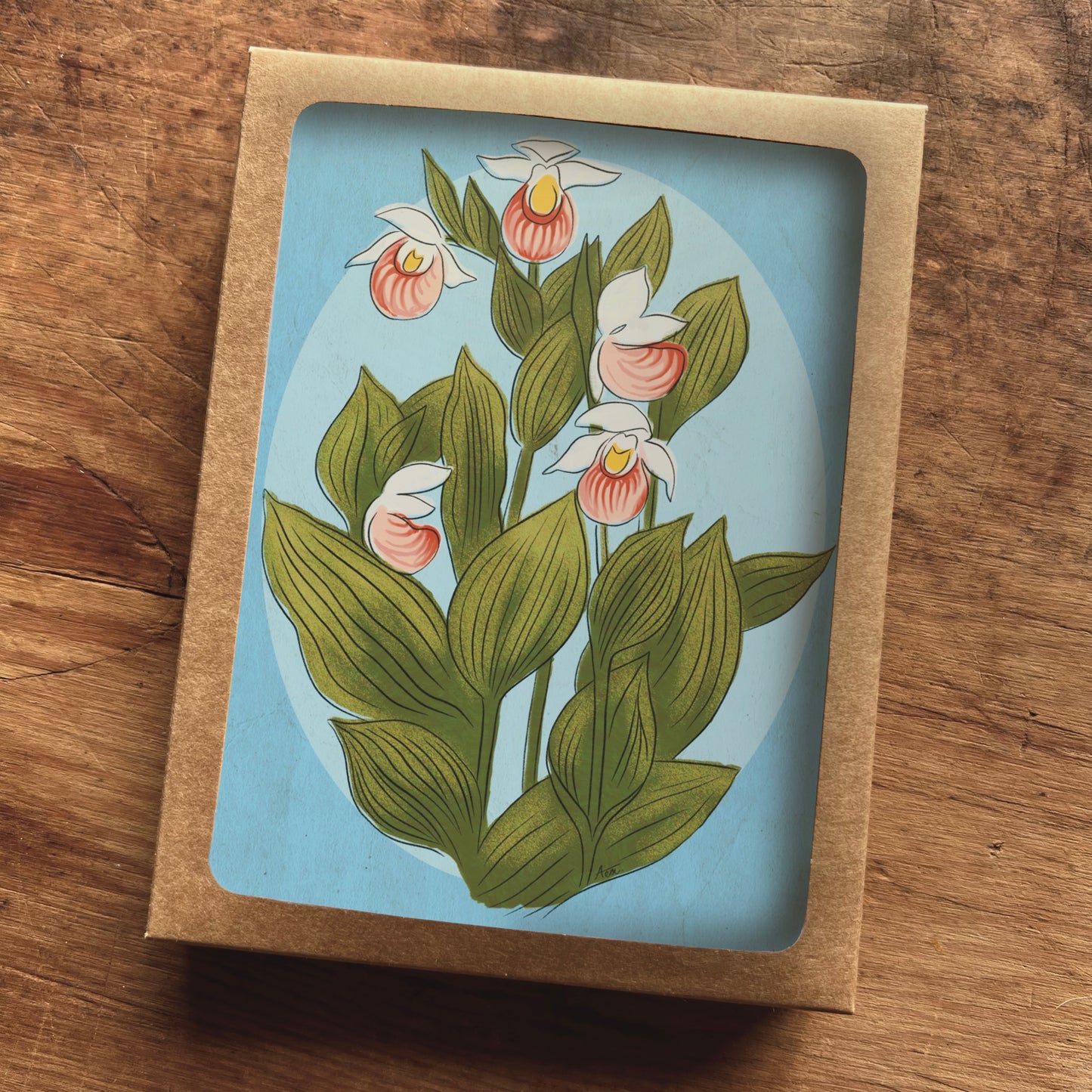 Blue Showy Lady's Slipper Greeting Cards | Blank Inside, A2, Recycled