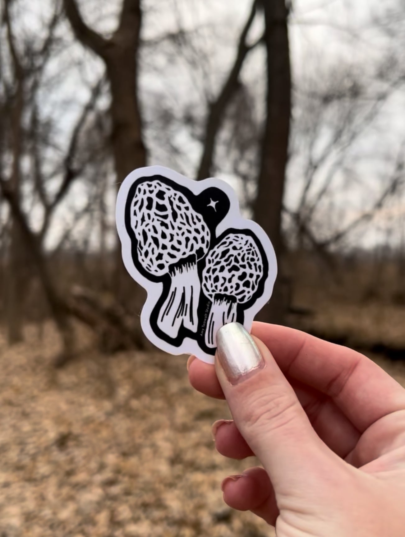 "Morel Magic” 3 Inch Sticker | Minnesota Illustration Eco-Friendly Sticker