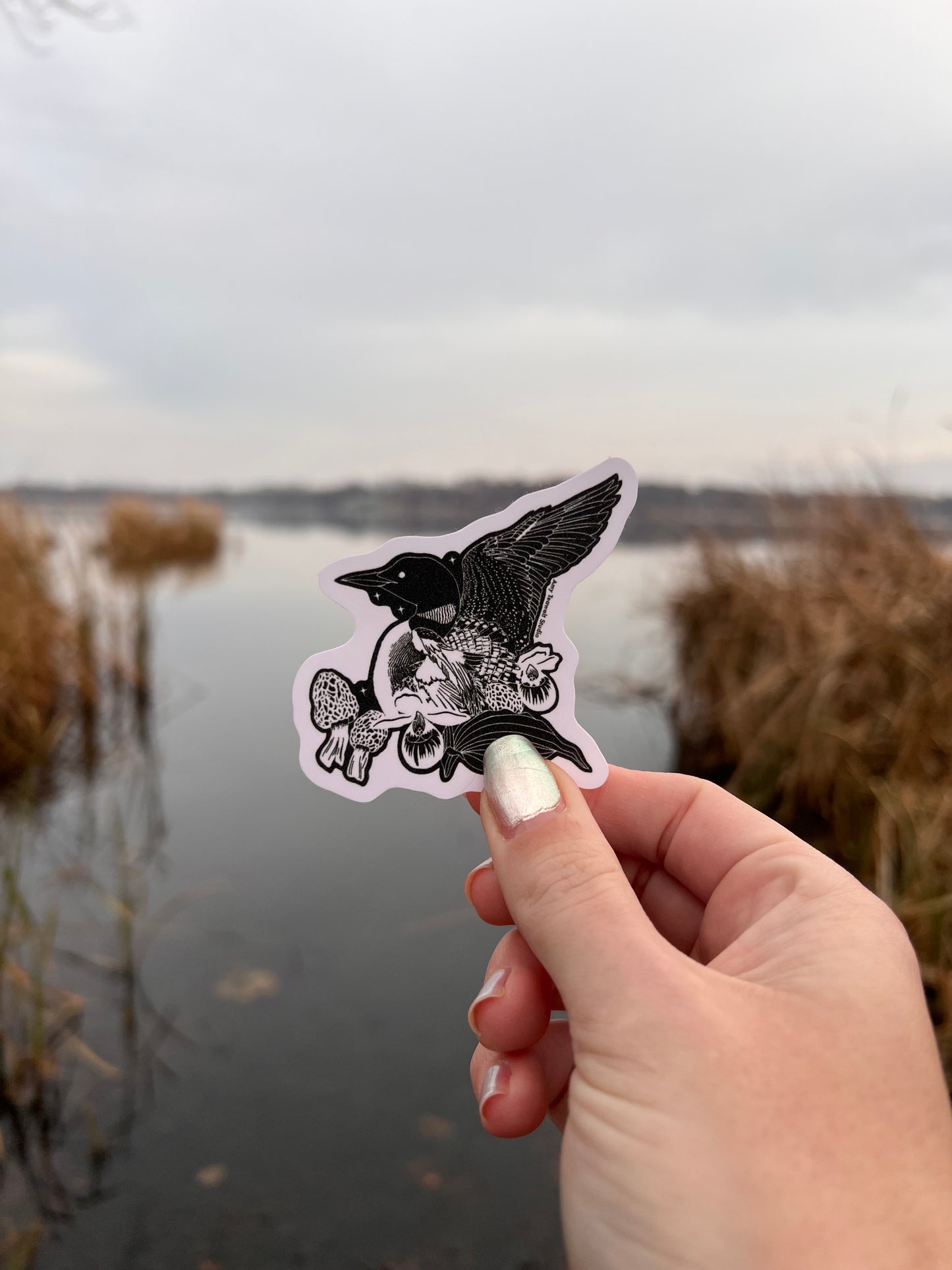 "Loon and MN Friends” 3 Inch Sticker | Minnesota Illustration Eco-Friendly Sticker