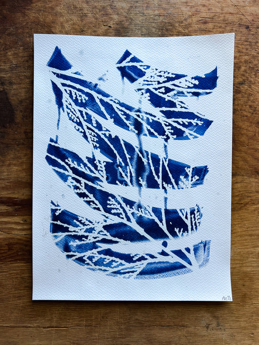 Cyanotype III.XXIII #3 9x12” | Handmade Cyanotype Print