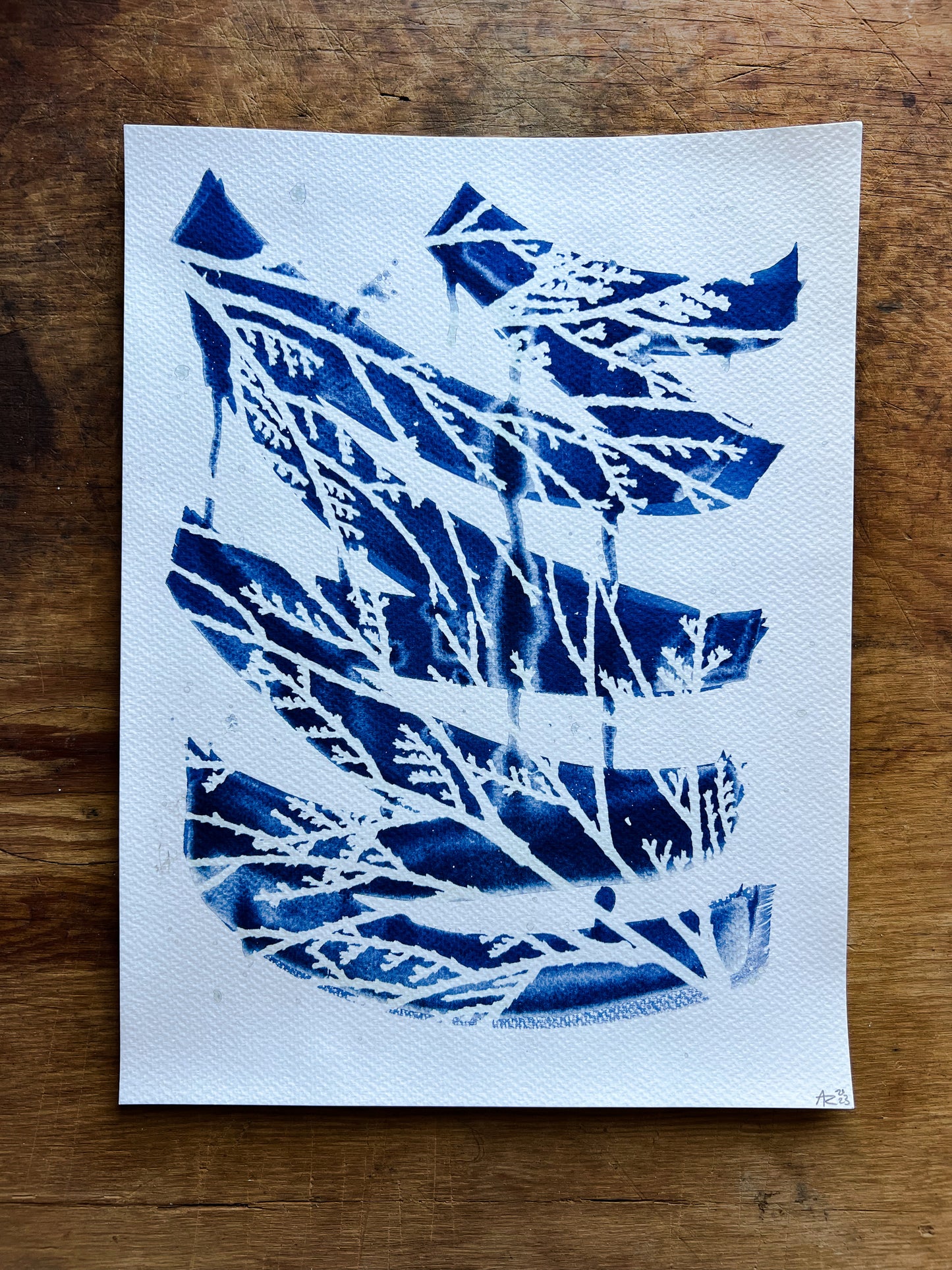 Cyanotype III.XXIII #4 9x12”, Handmade Cyanotype Print