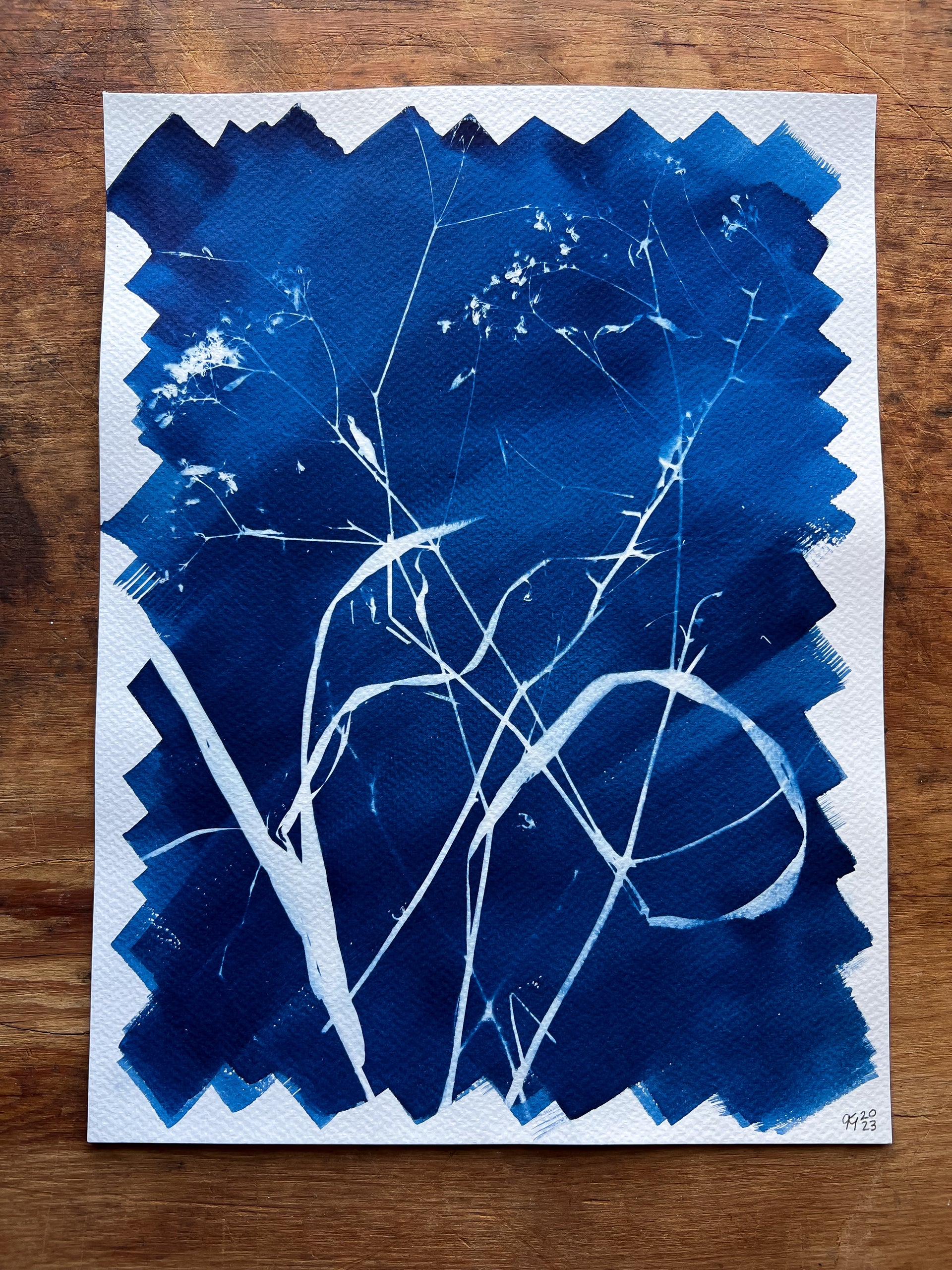 Cyanotype III.XXIII #4 9x12”, Handmade Cyanotype Print