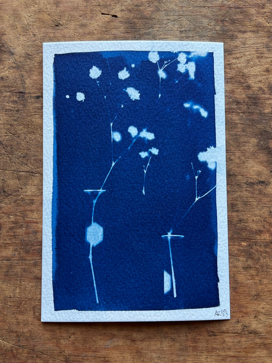 Floral Heart Cyanotype Wall Decoration — Paper Nettle Studio