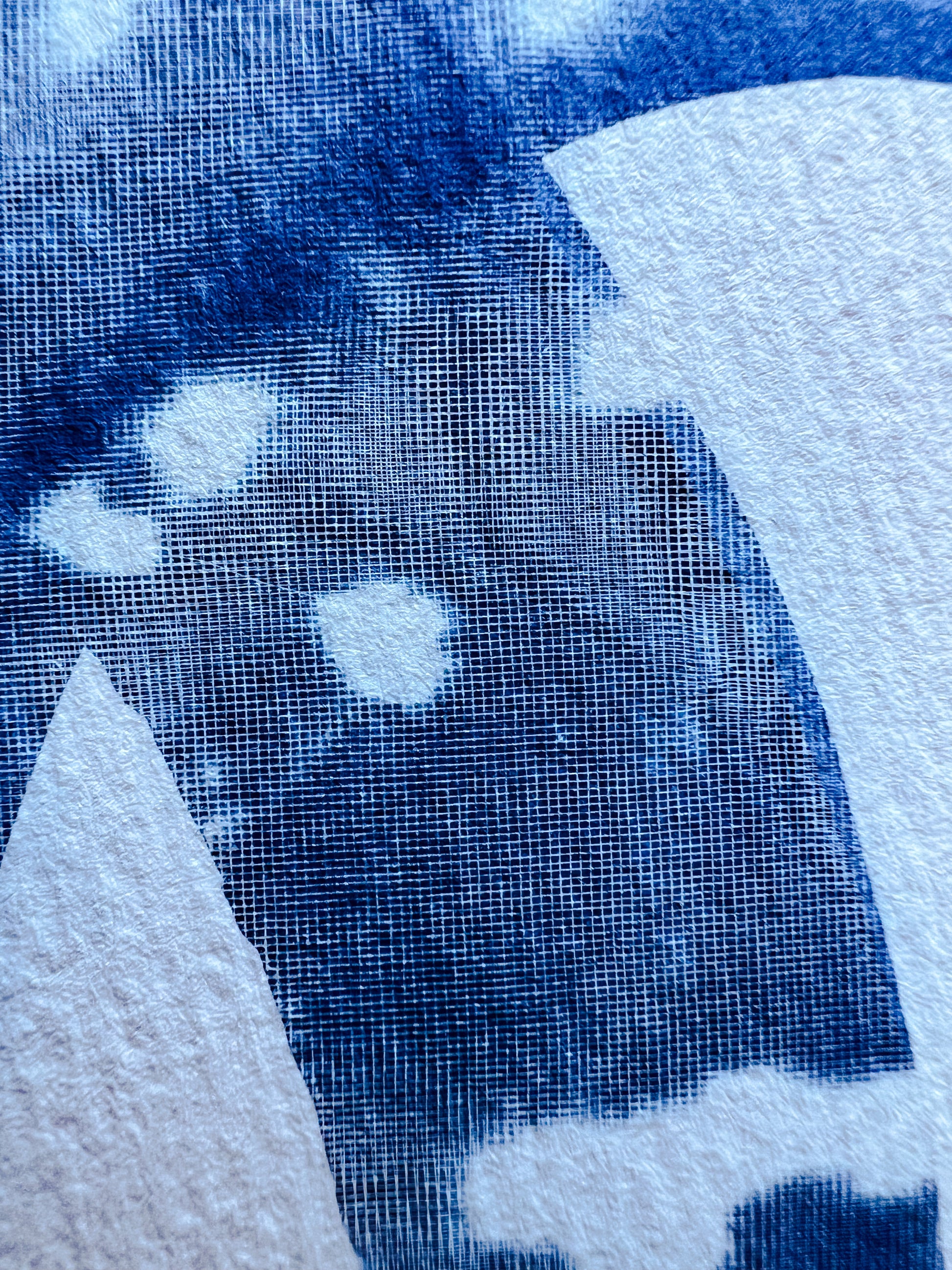 Cyanotype III.XXIII #4 9x12”, Handmade Cyanotype Print