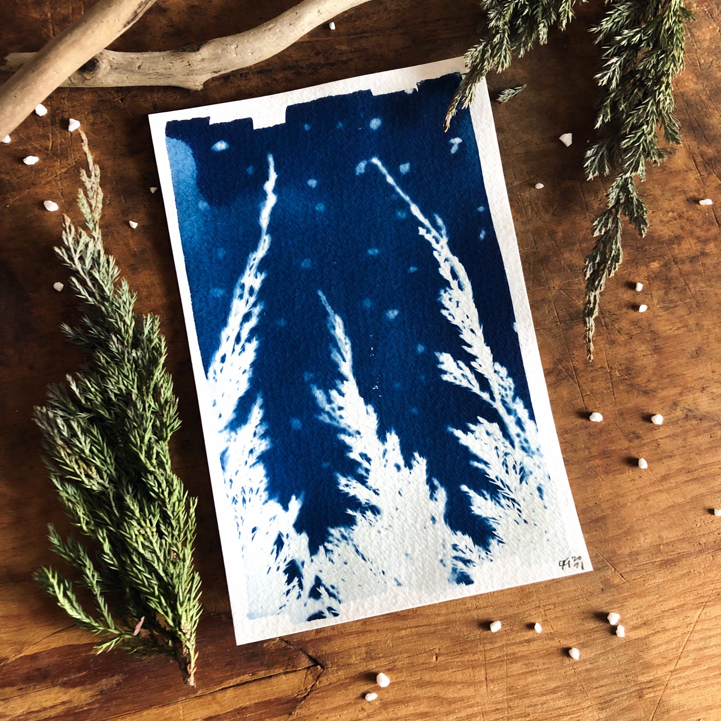 Woodland Winter Cyanotype #1 4x6”
